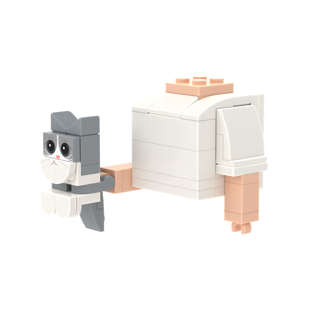 Gray-White Cat