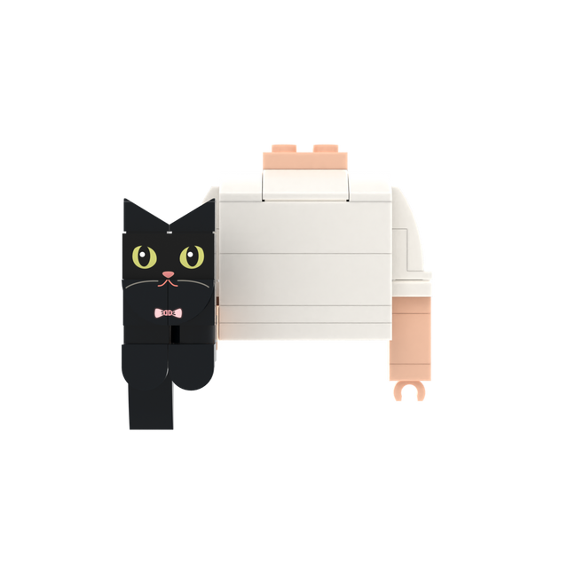 Black Cat