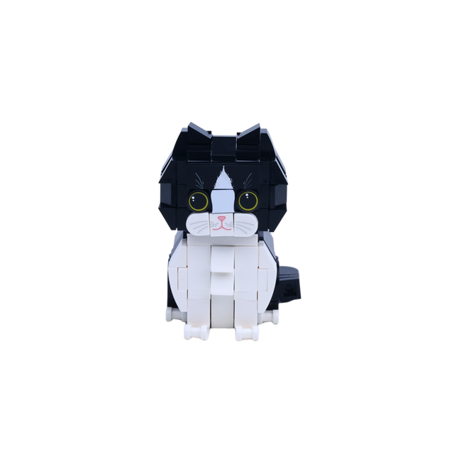 Black White Longhair