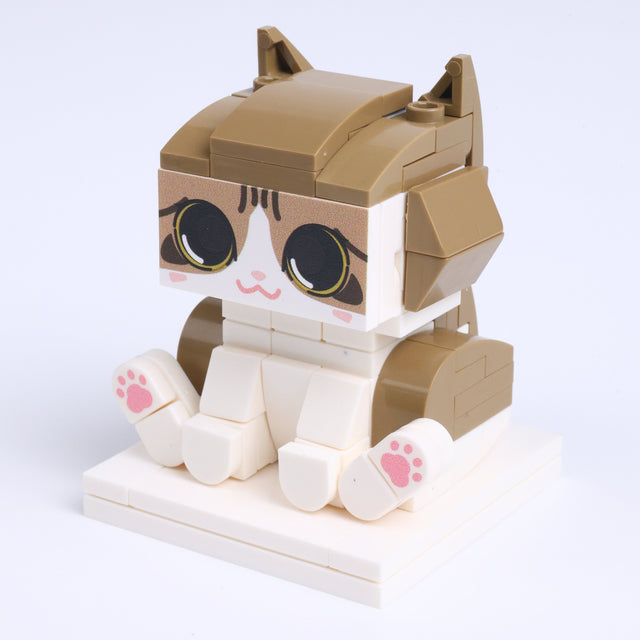 Toffee Cat