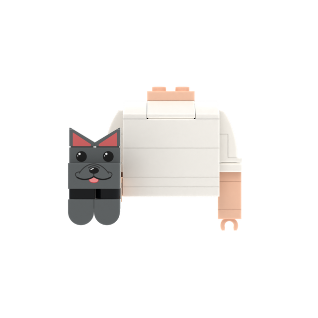 Dark Gray Pointy-Eared Whiskered Cat