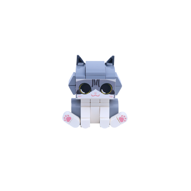 Gray White Cat