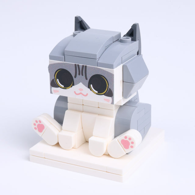 Gray White Cat