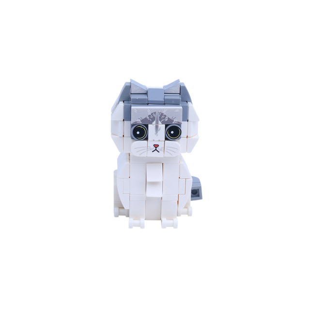 Gray White Longhair