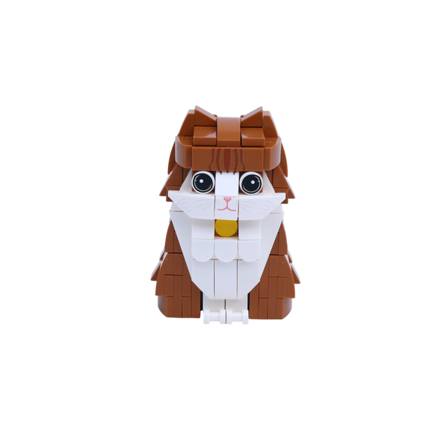 Orange Fluffy Cat