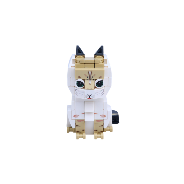 Honey Tabby Cat