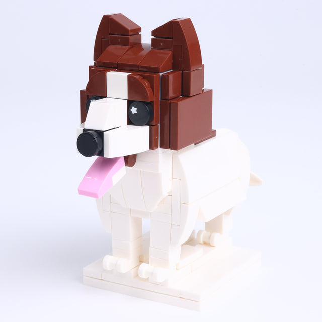 Papillon