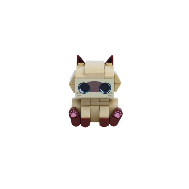 Siamese Cat