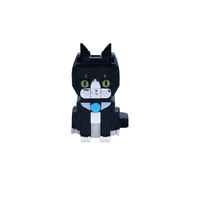 Tuxedo Cat