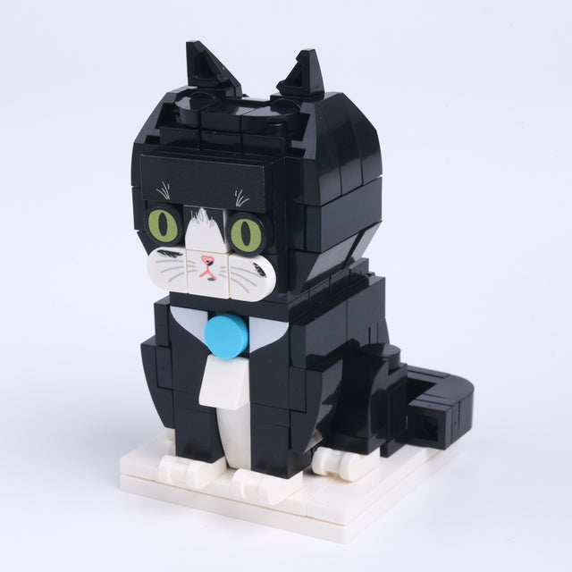 Tuxedo Cat