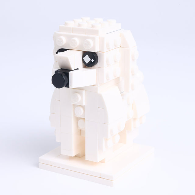 White Poodle