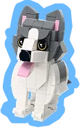 Pets